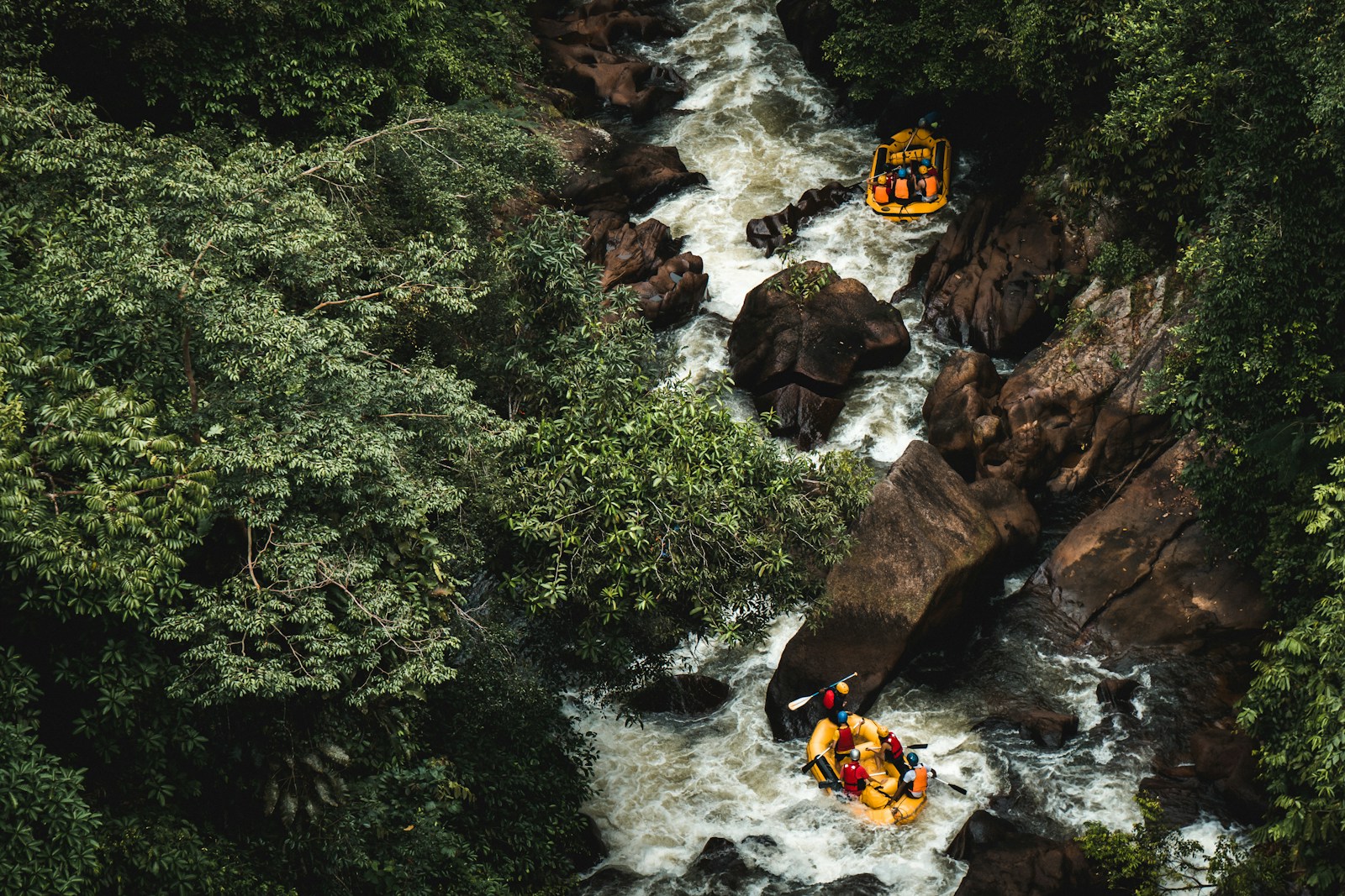 Rafts descendant une rivière vive au cœur de la jungle tropicale